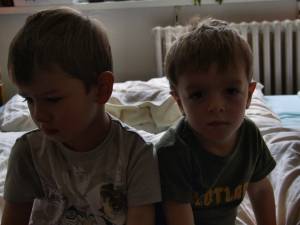dscf2115.jpg