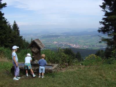2007