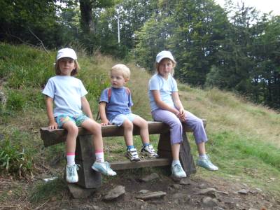 2007