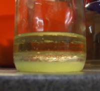 dscf8228.jpg