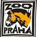 zoo.jpg