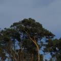 dscf2869.jpg