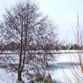 dscf3467.jpg