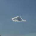 dscf2867.jpg