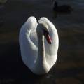 dscf3516.jpg