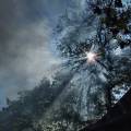 dscf3238.jpg