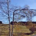 dscf3129.jpg