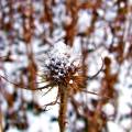 dscf3490.jpg