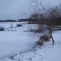 dscf3503.jpg