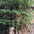 dscf5540.jpg