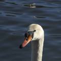 dscf3527.jpg