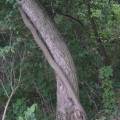 dscf2858.jpg