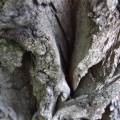 dscf2846.jpg
