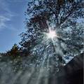 dscf3234.jpg