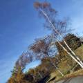 dscf3131.jpg