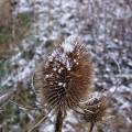 dscf3488.jpg