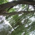dscf2807.jpg