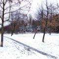 dscf3483.jpg