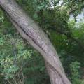 dscf2859.jpg