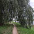 dscf2836.jpg