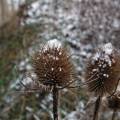 dscf3489.jpg