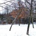 dscf3484.jpg