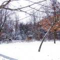 dscf3485.jpg