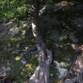 dscf5543.jpg