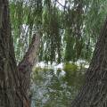 dscf2805.jpg