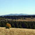 dscf3169.jpg