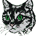 diekatze2.gif