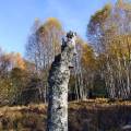 dscf3140.jpg
