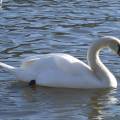 dscf3517.jpg