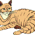 diekatze.gif