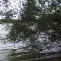 dscf2808.jpg