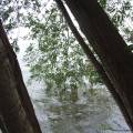 dscf2809.jpg