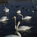 dscf3519.jpg