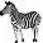 zebra-ico.jpg