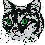 diekatze2.gif