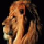 icolev.gif