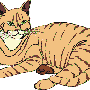 diekatze.gif